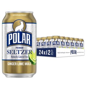 Polar Seltzer Water Ginger Lime Mule 24can