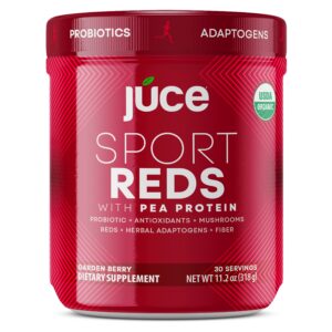 Terra Kai Organics Júce Sport Reds with Pea Protein, Berry